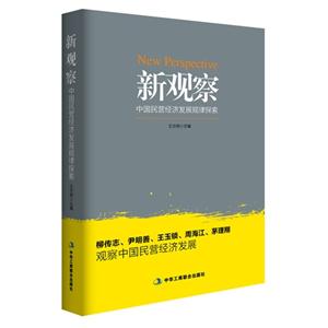 新观察-中国民营经济发展规律探索