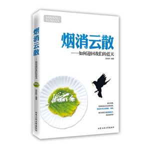 烟消云散:如何迎回我们的蓝天
