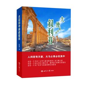 大使眼中的叙利亚