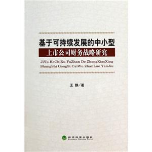 基于可持续发展的中小型上市公司财务战略研究