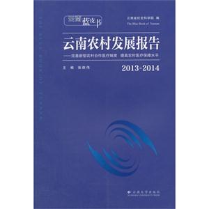 013-2014-云南农村发展报告"