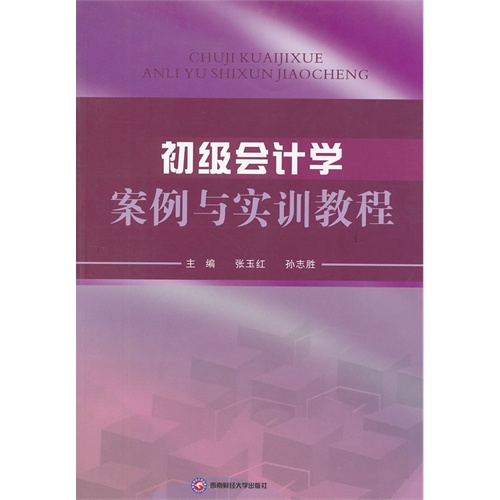 初级会计学案例与实训教程