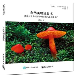 自然美物摄影术-传统与数字摄影中的自然风景拍摄技巧-(第4版)