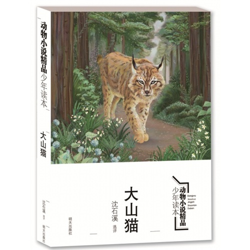 大山猫