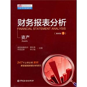 资产-财务报表分析-(BOOK 2)