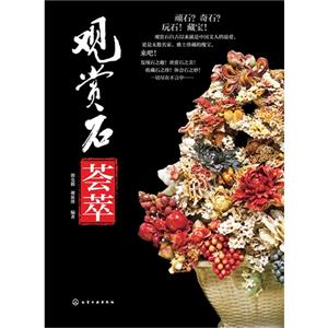 观赏石荟萃