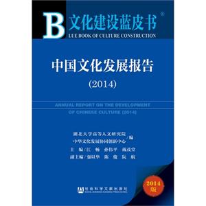 014-中国文化发展报告-2014版"