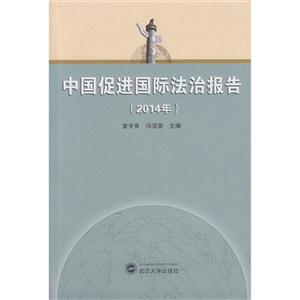 014年-中国促进国际法治报告"