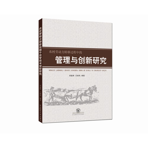 农村劳动力转移过程中的管理与创新研究