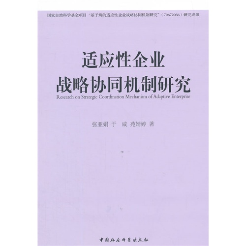 适应性企业战略协同机制研究