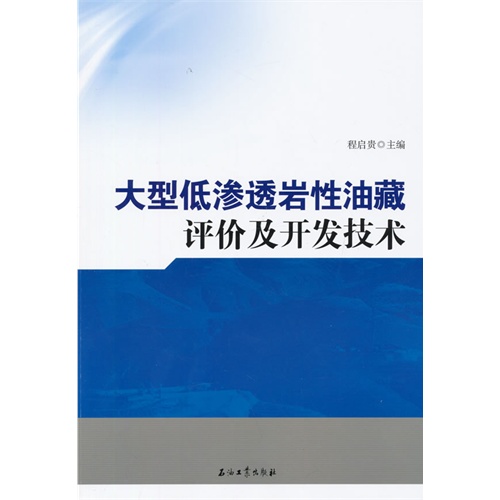 大型低渗透岩性油藏评价及开发技术