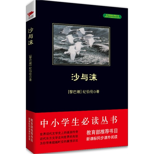 沙与沫