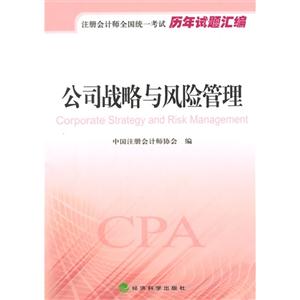 公司战略与风险管理