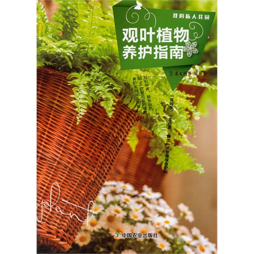 观叶植物养护指南-我的私人花园