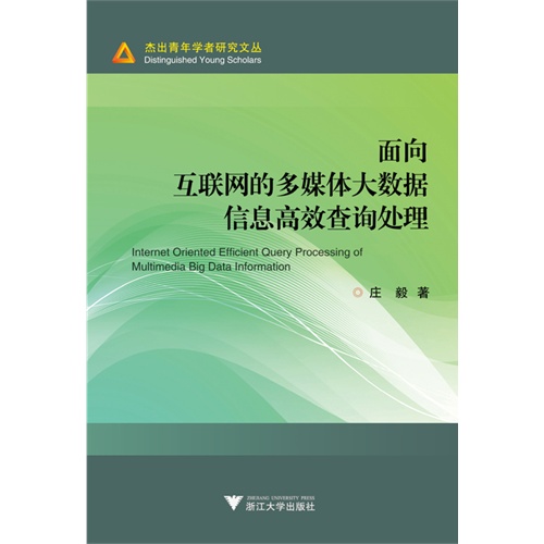 面向互联网的多媒体大数据信息高效查询处理