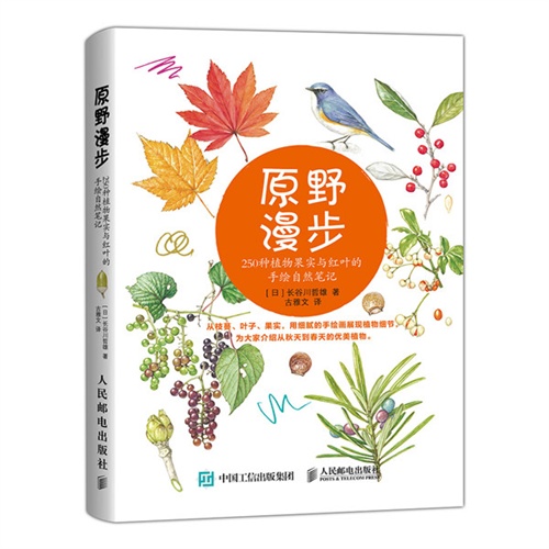 原野漫步:250种植物果实与红叶的手绘自然笔记