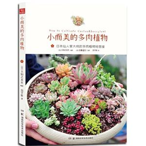 小而美的多肉植物