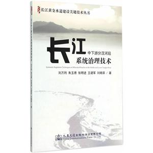 长江中下游分汊河段系统治理技术