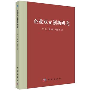 企业双元创新研究