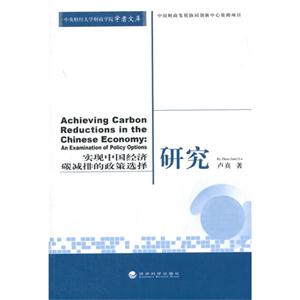实现中国经济碳减排的政策选择研究
