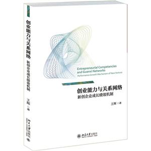 创业能力与关系网络-新创企业成长绩效机制