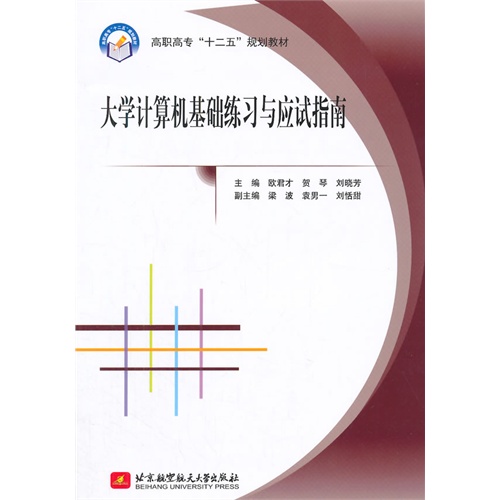 大学计算机基础练习与应试指南