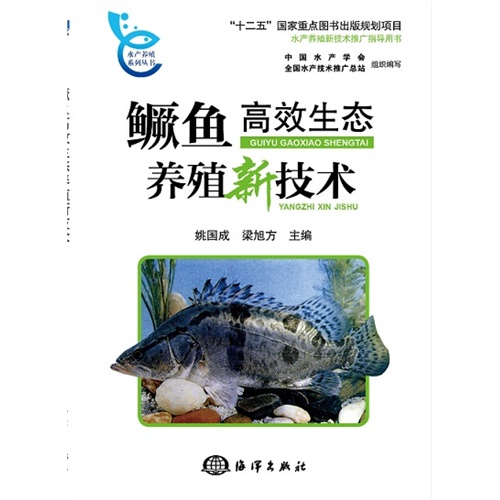 鳜鱼高效生态养殖新技术