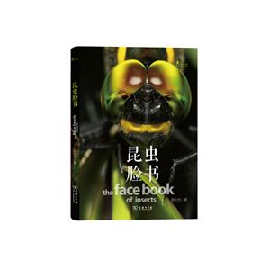 昆虫脸书