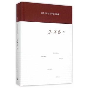 王洪君卷-著名中年语言学家自选集