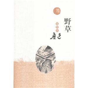 野草-插图本