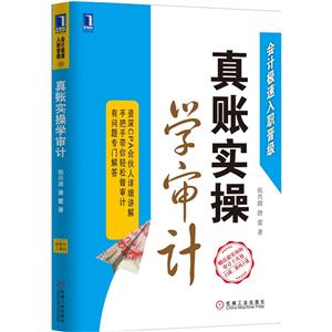 真账实操学审计