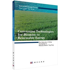 Conversion Technologies for Biomass to Renewable Energy