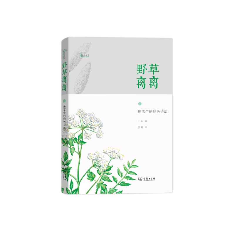 野草离离-角落中的绿色诗篇