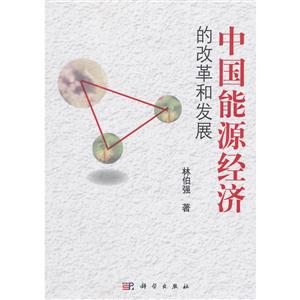 中国能源经济的改革和发展