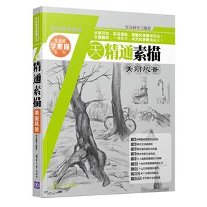 美丽风景-7天精通素描