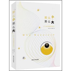 那么小.那么大-为什么我们需要纳米技术?