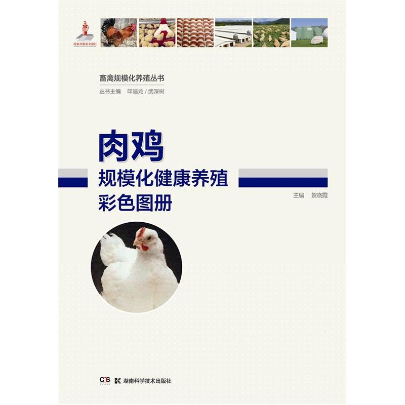 肉鸡规模化健康养殖彩色图册