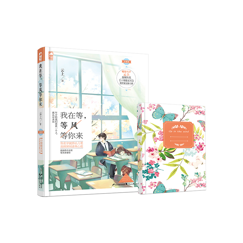我在等.等风等你来