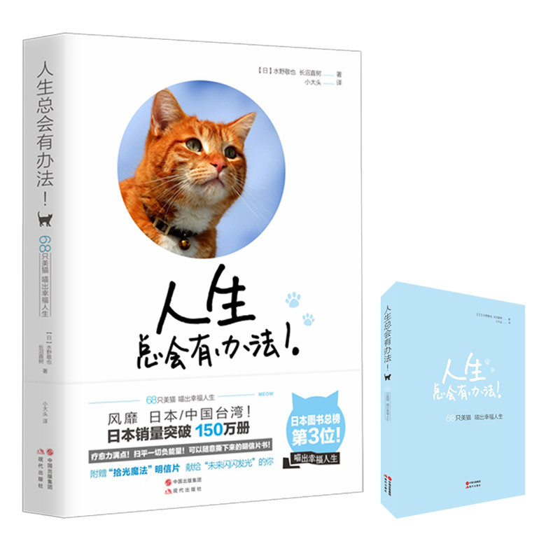 人生总会有办法-68只美猫喵出幸福人生