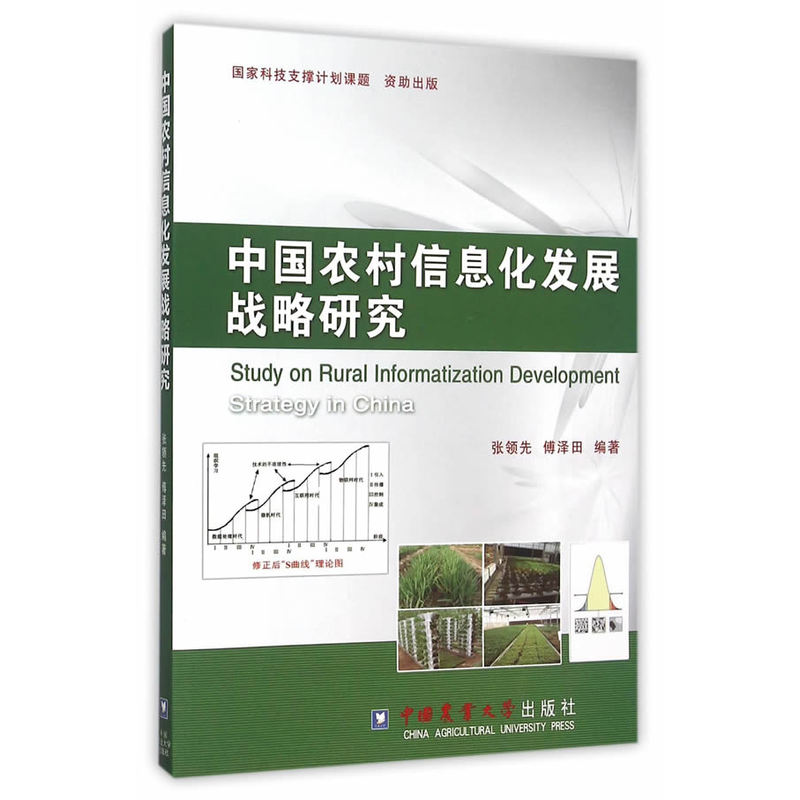 中国农村信息化发展战略研究