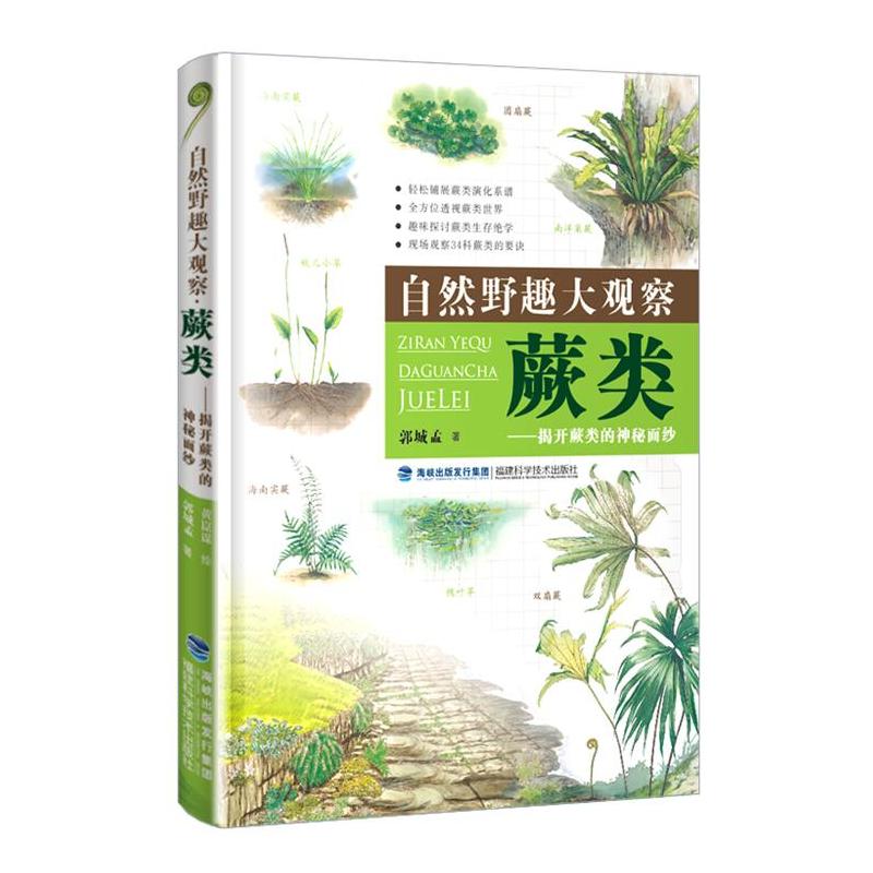 自然野趣大观察:揭开蕨类的神秘面纱:蕨类