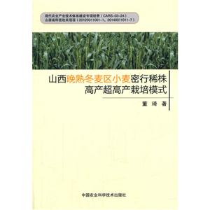 山西晚熟冬麦区小麦密行稀株高产超高产栽培模式