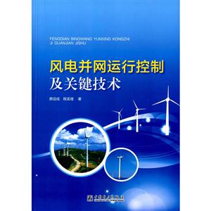 风电并网运行控制及关键技术