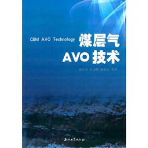 煤层气AVO技术