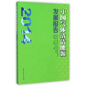 中国气体清洁能源发展报告