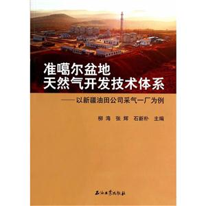 准噶尔盆地开然气开发技术体系-以新疆油田公司采气一厂为例