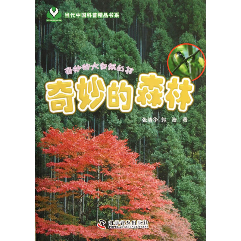 奇妙的森林