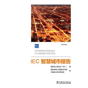 IEC智慧城市报告