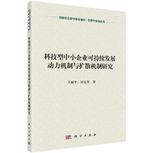 科技型中小企业可持续发展动力机制与扩散机制研究