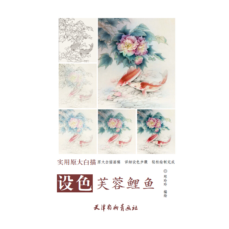 设色芙蓉鲤鱼-实用原大白描